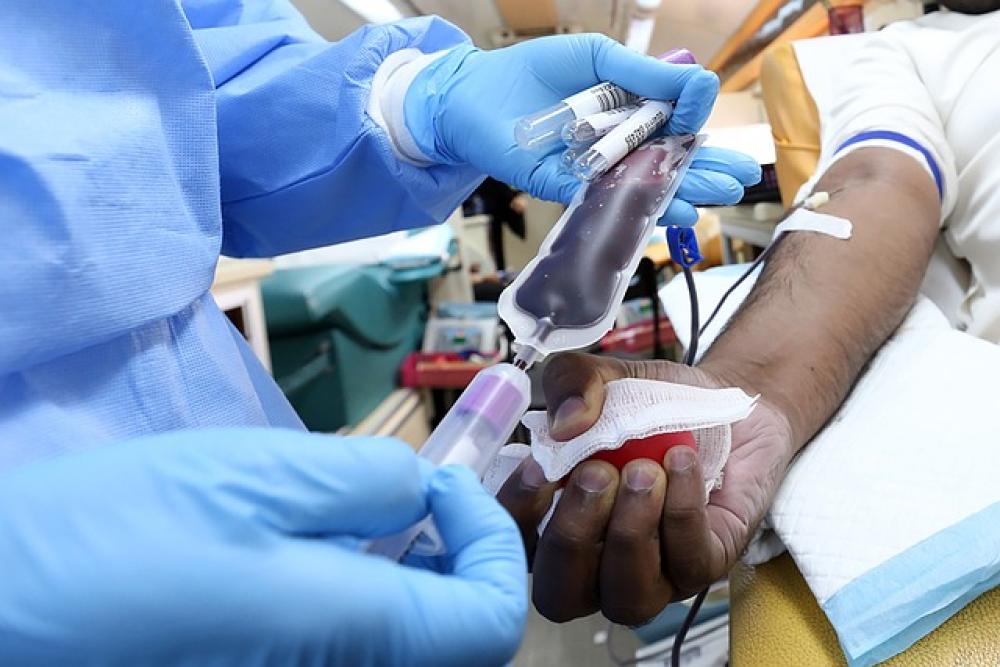 Sangue e plasma, un intergruppo per diffondere la cultura del dono